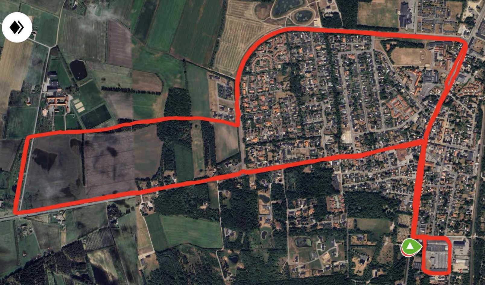 Rute